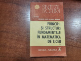Principii si structuri fundamentale in matematica de liceu.Algebra si analiza