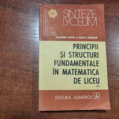 Principii si structuri fundamentale in matematica de liceu.Algebra si analiza