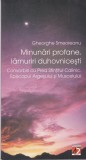Gheorghe Smeoreanu - Minunari profane, lamuriri duhovnicesti. Convorbiri cu, Paralela 45