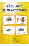 Gaze mici si muncitoare! - Dosa Daniela