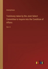 Testimony taken by the Joint Select Committee to Inquire into the Condition of Affairs: Vol. II foto