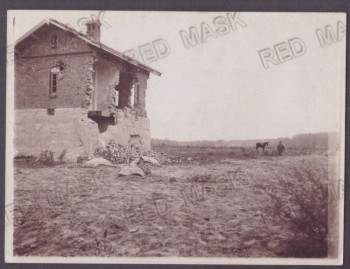 3114 - CALAFAT, Romania ( 12/9 cm )- old Photocard - unused