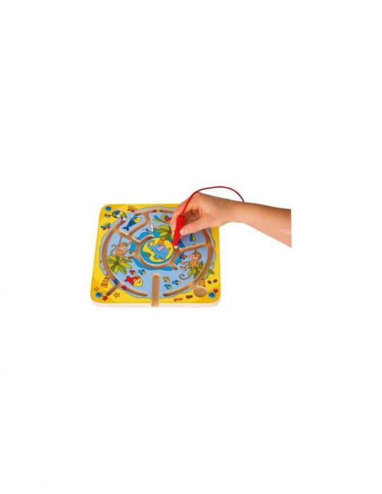 Labirint magnetic Insula