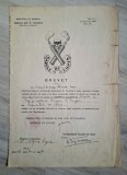 Brevet pt insigna regimentala Gaze de Lupta acordat in 1928 , perioada de Regenta a lui Mihai I. Foarte rar.