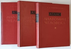 ATLAS DE ANATOMIE UMANA ( EDITIE IN LIMBA RUSA ) VOLUMELE I - III de R. D. SINELNIKOV , 1967 - 1974
