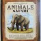 ANIMALE SAFARI - JURNALUL UNUI EPLORATOR - DESCOPERITI AFRICA EXOTICA de PAUL BECK , 2008 *MICI DEFECTE