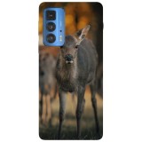 Husa compatibila cu Motorola G20 model Sweet baby deer, Silicon, TPU, Viceversa, Transparent, Carcasa