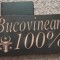 Lemn masiv sculptat &quot;Bucovinean 100%&quot;