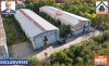 Hale de inchiriat in 1 Decembrie Ilfov | NILS Imobiliare