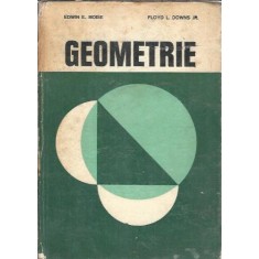 Geometrie - Edwin E. Moise, Floyd L. Downs