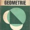 Geometrie - Edwin E. Moise, Floyd L. Downs