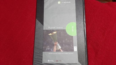program VFB Wolfsburg - Rapid foto
