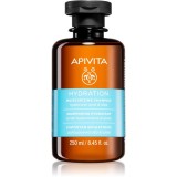 Apivita Hydration Moisturizing Shampoo sampon hidratant pentru toate tipurile de păr 250 ml