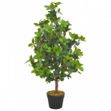 Plantă Artificială Dafin Cu Ghiveci Verde 90 cm 280178, General