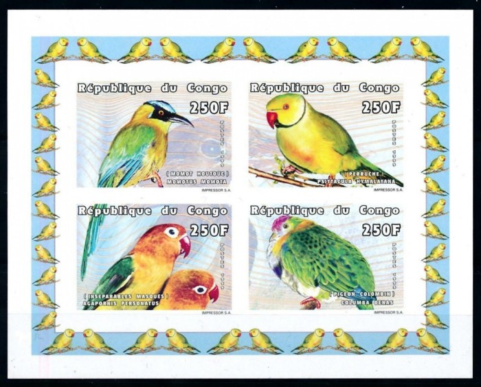 RP CONGO 1999 PASARI PAPAGALI NEDANTELAT