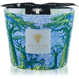 Baobab Collection Sacred Trees Yarani lum&acirc;nare parfumată 10 cm