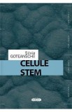 Celule stem - Silvia Goteanschii
