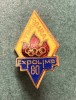 Insigna Timisoara Expolimp 80