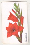 bnk card Cartele telefonice - Germania - flora - flori