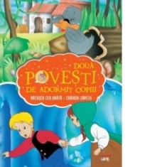 Doua povesti de adormit copiii. Ratusca cea urata. Craiasa zapezii