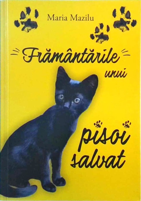 Maria Mazilu - Framantarile unui pisoi salvat