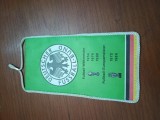 FANION MIC FOTBAL GERMNIA 1990