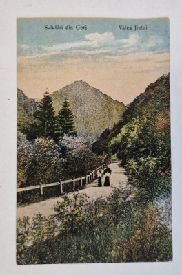 SALUTARI DIN GORJ ,. VALEA JIULUI , CARTE POSTALA , INCEPUT DE SEC. XX foto