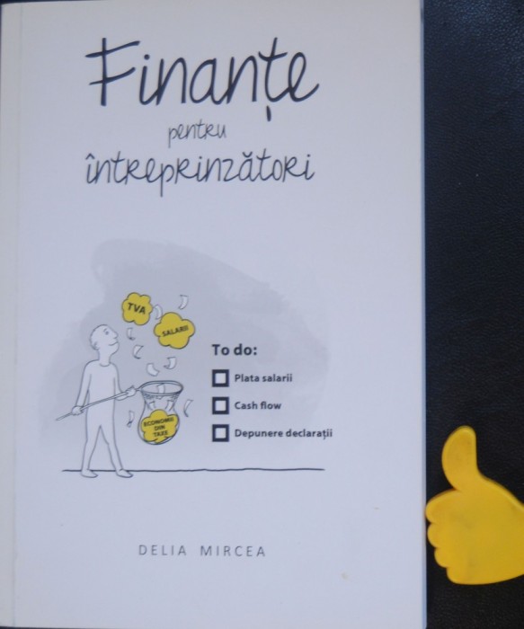 Finante pentru intreprinzatori Delia Mircea