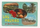 FS2 - Carte Postala - SPANIA - Las Palmas de Grand Canaria , circulata 1973, Fotografie