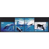 TERITORIILE AUSTRALIENE DIN ANTARCTICA 1996 FAUNA MARINA BALENE SI DELFINI