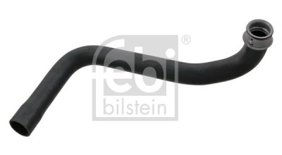 FEBI BILSTEIN 100307 Furtun radiator foto