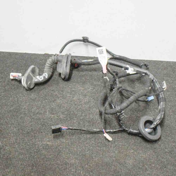 Cablaj ușă dreapta spate TESLA MODEL 3 2018 OEM: 2067966-00-A 11203699