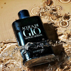 Parfum Acqua di Gio Profumo 100ml