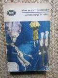 WINESBURG IN OHIO - Sherwood Anderson