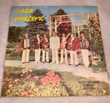 Vinyl - Laza Knezevic, VINIL, Populara
