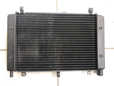 Radiator apa Yamaha FZS1000 RN06 Fazer 2001-2005 foto