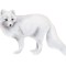 Sticker decorativ Vulpe Polara, Alb, 81 cm, 5797ST