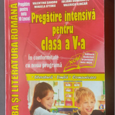 LIMBA SI LITERATURA ROMANA PREGATIRE INTENSIVA PENTRU CLASA A V A SANDRU ILINCAR