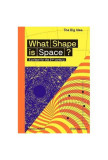 What Shape Is Space? A primer for the 21st century - Paperback brosat - Giles Sparrow - Thames &amp; Hudson