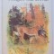 FOREST SEASONS by IVAN SOKOLOV - MIKITOV, designed by GEORGI NIKOLSKY, 1989