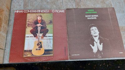 Vinyl Mihai Constantinescu-O floare vintage foto