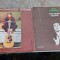 Vinyl Mihai Constantinescu-O floare vintage