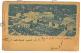 5321 - Baile HERCULANE, Caras-Severin, Panorama, Litho, Romania - old postcard, EMBOSSED - used - 1901