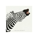 Tablou panza - Zebra | Chic mic