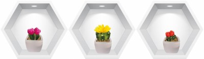 Sticker Cactusi 3D - Nise Hexagon in Perete foto