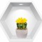 Sticker Cactusi 3D - Nise Hexagon in Perete