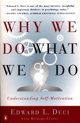 Why We Do What We Do: Understanding Self-Motivation foto