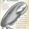 The Secret Life of Lobsters: How Fishermen and Scientists Are Unraveling the Mysteries of Our Favorite Crustacean