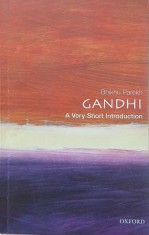 Ghandi. A Very Short Introduction - Bhikhu Parekh