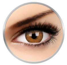 TruBlends Hazel 5 purtari 10 lentile/cutie foto